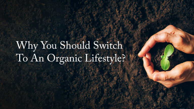 Why you should switch to an Organic Lifestyle?