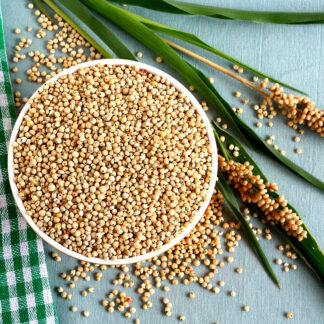 Buy Organic Jowar (Sorghum) – Gluten-Free & High-Fiber Whole Grain for Balanced Nutrition
