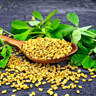 Buy Organic Methi (Fenugreek) - Whole, Nutty Spice for Cooking