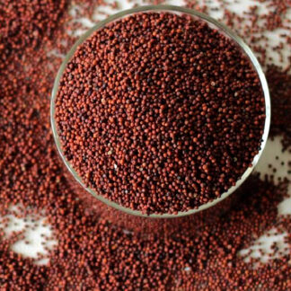 Buy Organic Ragi (Finger Millet) – Calcium-Rich & Gluten-Free Superfood for Bone Health