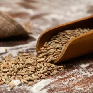 Buy Organic Wheat (Khapli) – Ancient Grain for Health & Wellness
