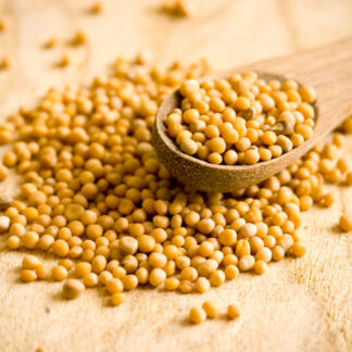 Buy Organic Rai (Yellow)/Mustard Seeds (Yellow) - Mild and Flavorful Spice