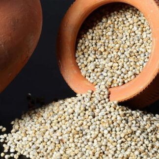 Buy Organic Bajra (Pearl Millet) – Nutrient-Dense, Gluten-Free Supergrain for Energy & Wellness